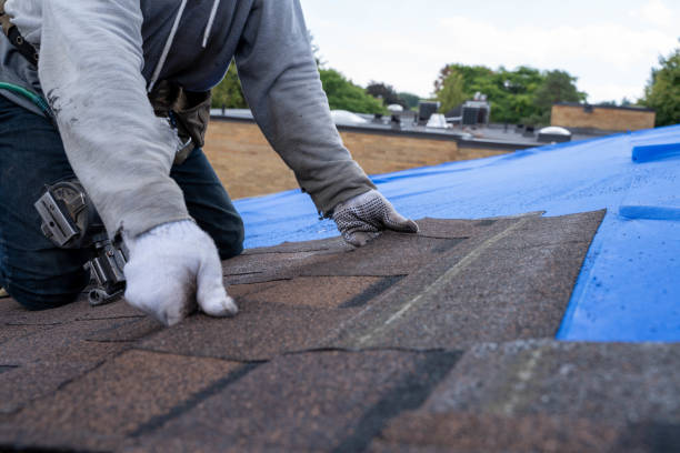 Best Storm Damage Roof Repair  in East Brady, PA