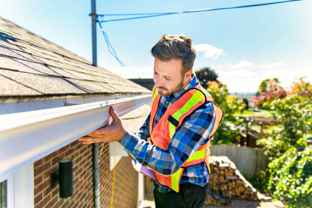 Best Roof Moss and Algae Removal  in East Brady, PA